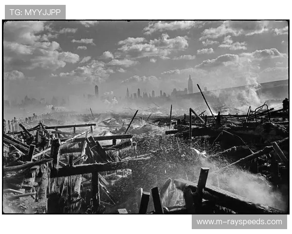 场边摄影师捕捉决定性瞬间：精彩动作照片的背后故事